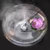 imageAGPTEK Aluminum Mist Maker Fog Maker for Water Fountain Pond Rockery Fishtank Vase Birdbath
