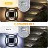 imageAGPTEK Solar Driveway Lights 12 Pack 2 Colors in 1 Outdoor Solar Deck Dock Marine Waterproof LED Driveway Marker Security Lights for Outside PathwayBoat DockStepWalkwayPathGarden Blue ampamp WhiteWarm Light  White Light
