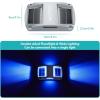 imageAGPTEK Solar Driveway Lights 12 Pack Outdoor Deck Dock Marine LED Solar Powered Waterproof Driveway Marker Lights for Warning Step Sidewalk Pathway Garden Yard Warm WhiteBlue Light