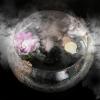 imageAGPtEK Mist Maker Fog Maker for Water Fountain Pond Rockery Fishtank Vase Birdbath Atomization Amout300mLH