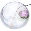 imageAGPtEK Mist Maker Fog Maker for Water Fountain Pond Rockery Fishtank Vase Birdbath Atomization Amout300mLH
