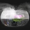 imageAGPtEK Mist Maker Fog Maker for Water Fountain Pond Rockery Fishtank Vase Birdbath Atomization Amout300mLH