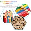 imageAGPTEK Watercolor Pencils Professional Watercolor Pencils Set 48 Colored Pencils with Dip PensPencil ExtenderThree 2B PencilsWater Brush penPencil sharpener and Zipper Case