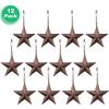 imageAGPtek Star Shower Curtain Hooks 12PCS Anti Rust Decorative Resin Hooks for Bathroom Baby Room Bedroom Living Room Decor Star